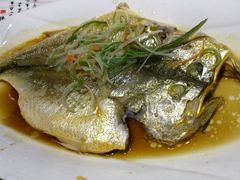 -渔傅·蓝海岸霞浦海鲜(正祥店)