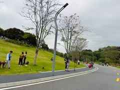 -东莞植物园