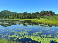 -北极村旅游风景区