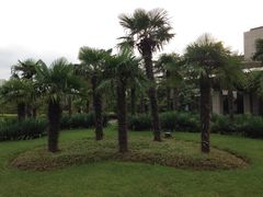 SS-上海怡沁园度假酒店