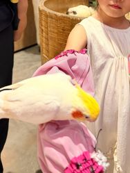 -Zoolung Zoolung动物主题公园(海信广场店)