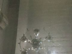 -Mevlana梅夫娜土耳其餐厅·清真