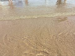 -刘家湾赶海园
