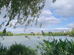 -昆山城市生态森林公园