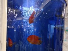 -齐家花园大酒店·本帮菜(宝山店)