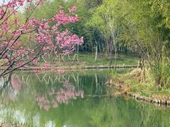 -梁鸿国家湿地公园