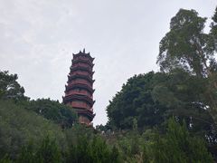 -南沙天后宫景区