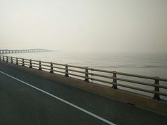 -洋山深水港