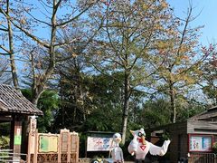 -大湾区中央湿地公园