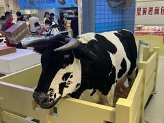 -红星前进面包牛奶公司(君太店)