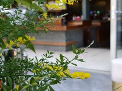 -城市露台景观餐厅(淮海路店)