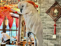 -四海楼(如皋定慧禅寺店)