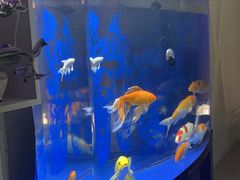 -足来足往养生会所