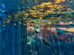 -成都浩海立方海洋公园