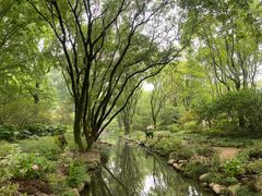 -上海共青森林公园