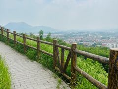 -白水寺森林公园