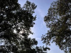 -森林公园(尖草坪区)