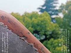 -上海佘山国家森林公园西佘山园