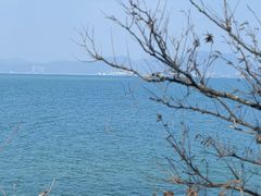 -东平洲海岸公园