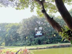 -广州长隆飞鸟乐园