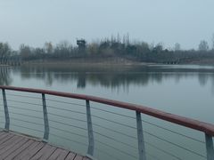 -东郊湿地公园