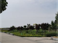 -东疆建设开发纪念公园