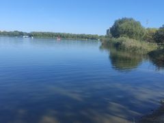 -大兴滨河森林公园