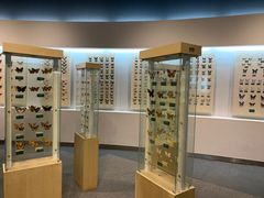 -陕西自然博物馆