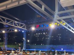 -渔家火锅·海鲜自助餐·演艺(亚龙湾天域酒店)