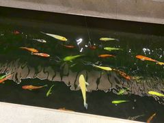 -龙悦湾酒家·八阵鱼生·渔人码头店