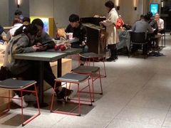 -麦当劳(龙阳路店)