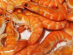 -钓鱼岛洗浴休闲会馆(卫星路店)