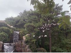 -燕塞湖鸟语林景区