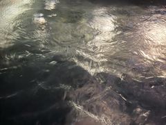 -四季酒店健身中心