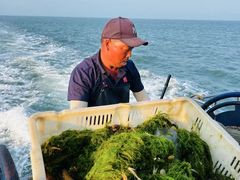 -日照世帆赛基地