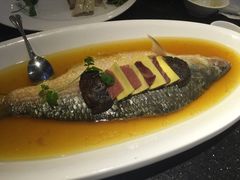 清蒸鲥鱼-圆苑(上海广场店)
