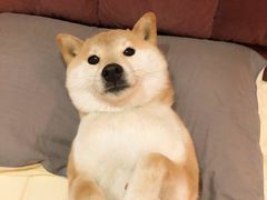 -麦当劳(军博店)