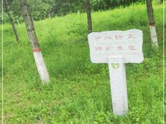 -五台山风景区
