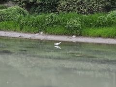 -沙河三洞古桥公园