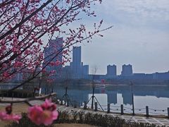 -天鹅湖体育公园