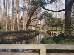 -浙江西湖美术馆