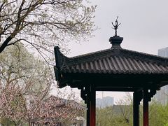 -堤角公园