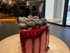 -Wagas沃歌斯(枫蓝国际店)