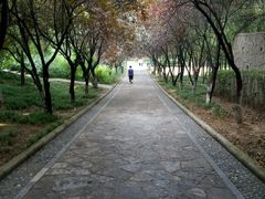 -西安市长乐公园