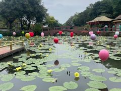 -广州莲花山旅游区