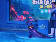 -石家庄海洋公园