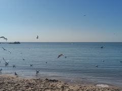 -老虎石海上公园