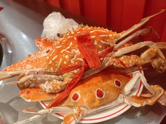 -吃货码头自助餐厅(天悦城店)