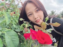 -亚龙湾国际玫瑰谷