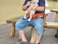 滨湖湿地公园-合肥滨湖国家森林公园